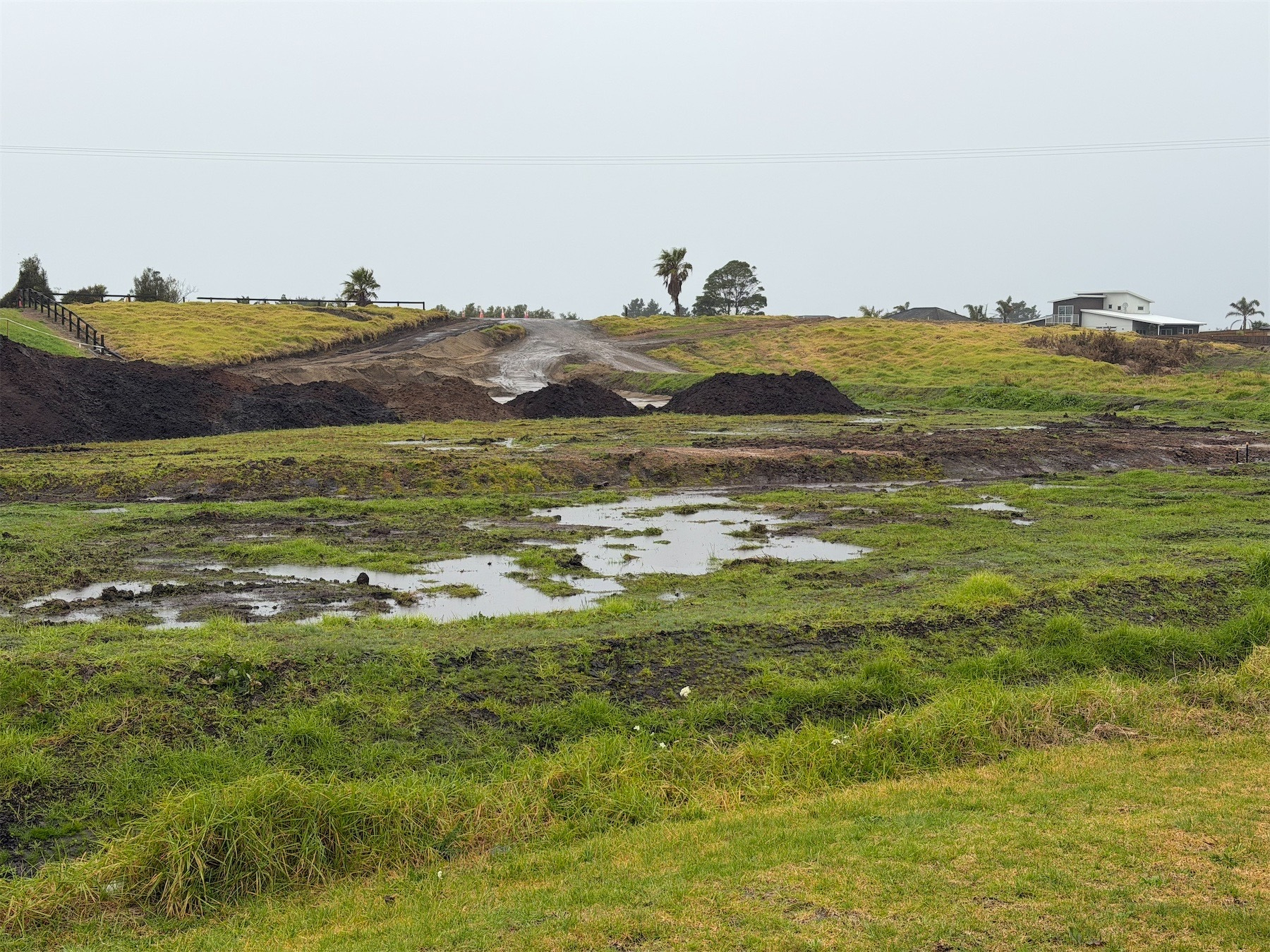 Waterlogged landscape of grass and bare soil.