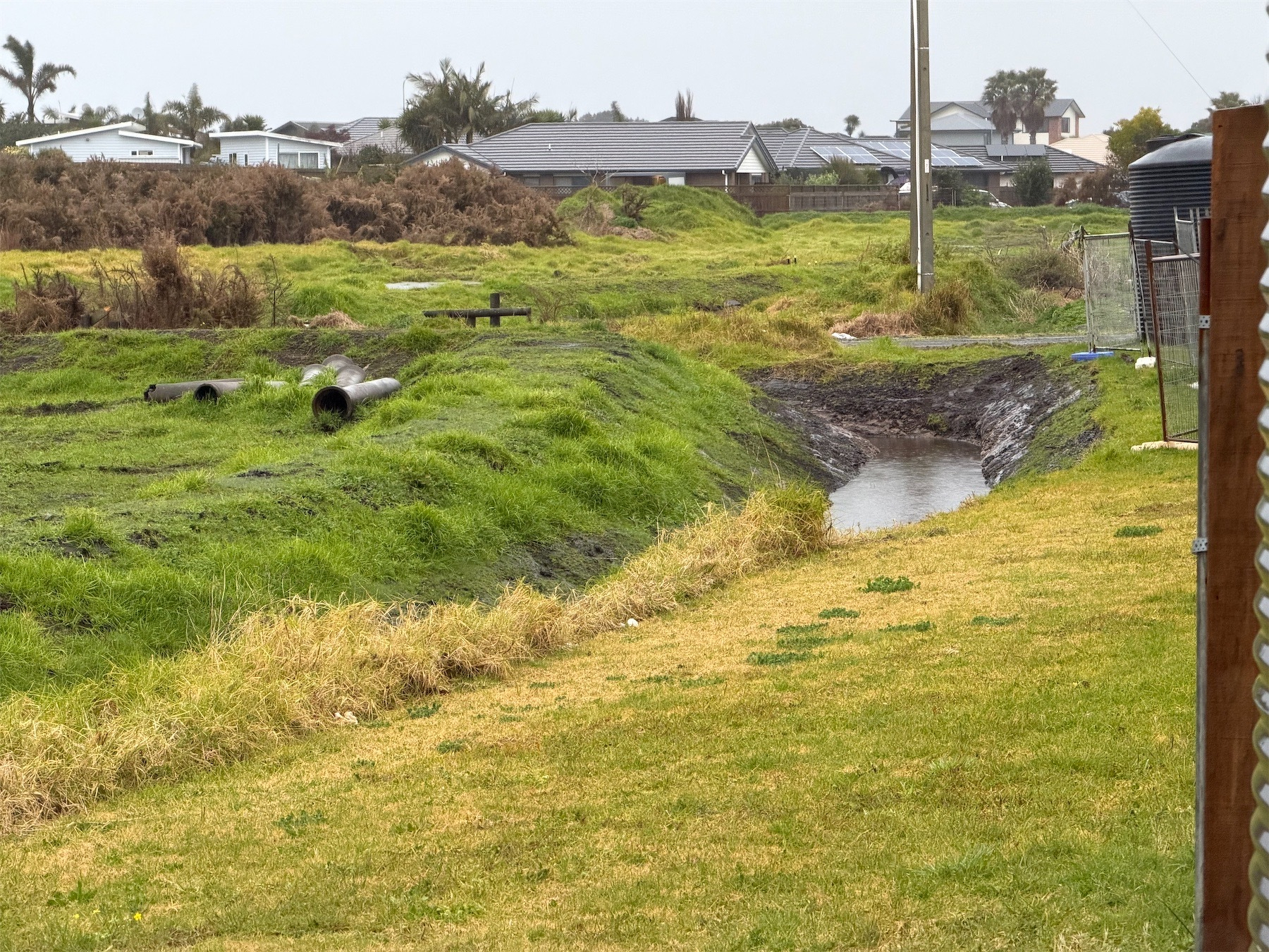 Water in a ditch between grassy banks.