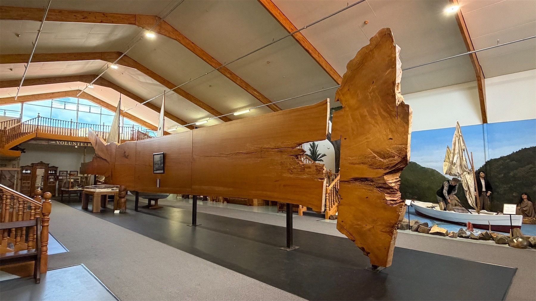 Very long and tall Kauri plank.