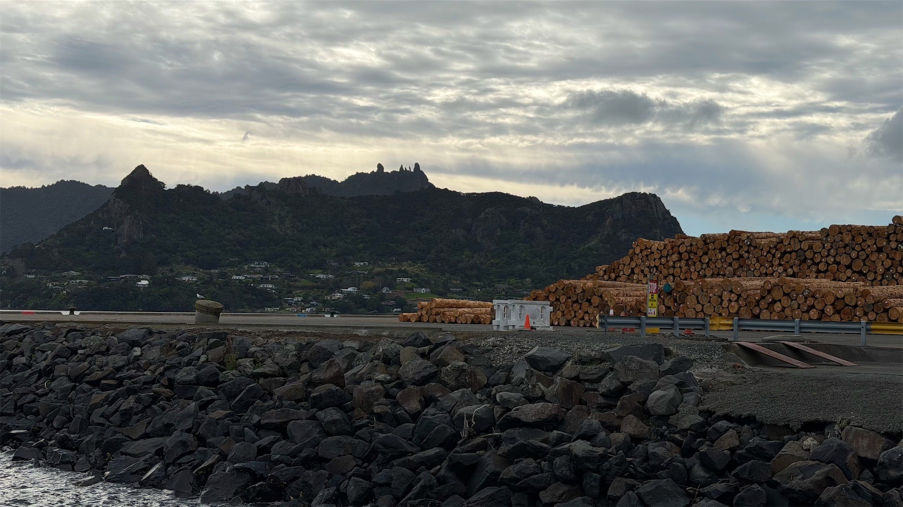 Mounds of logs at the port await export. 