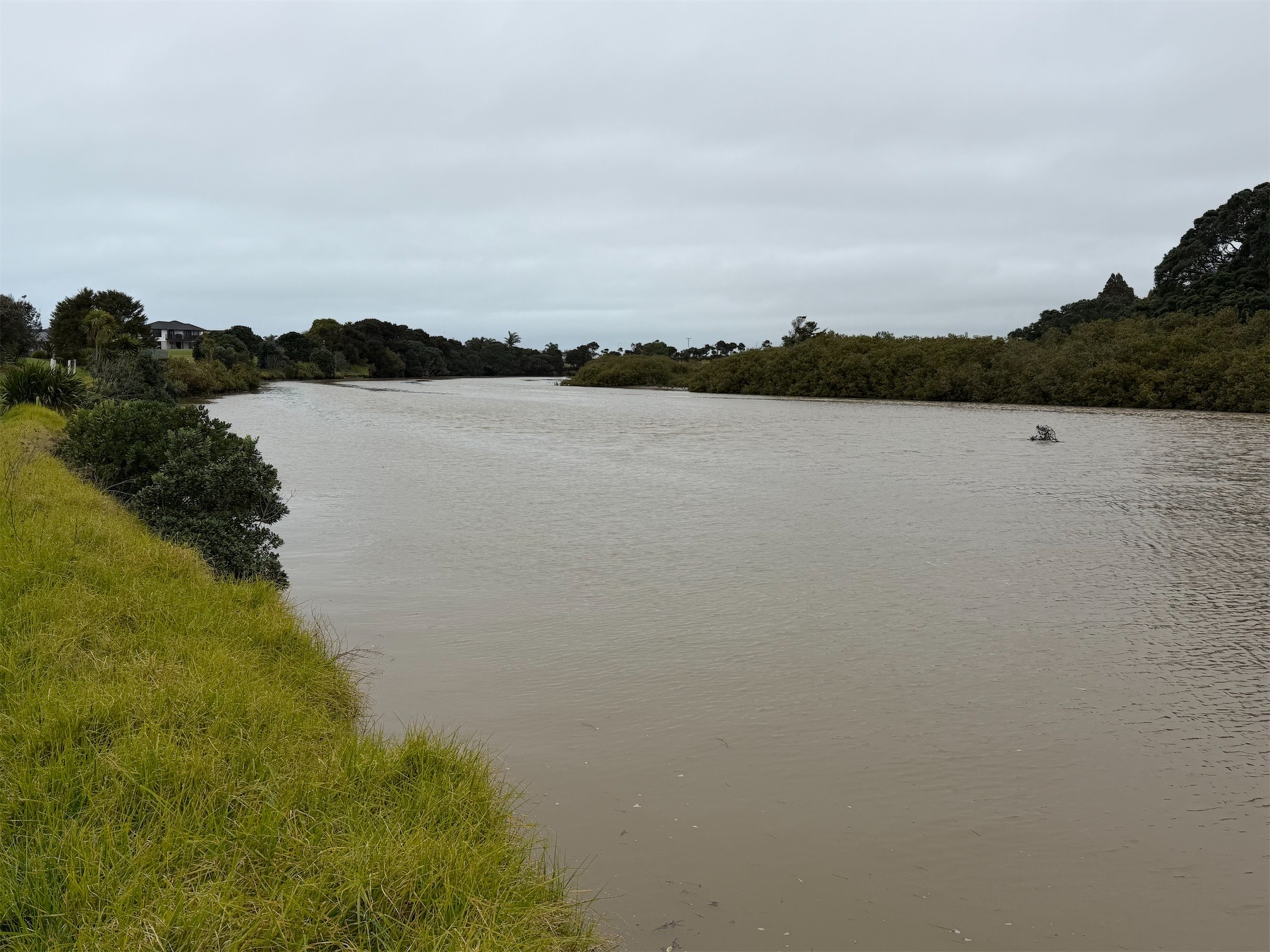 Full, dirty, river.