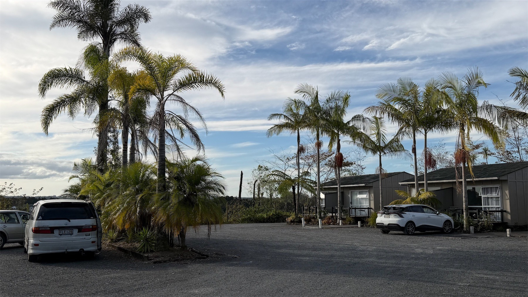 Motel units with tall palm trees around a spacious driveway.