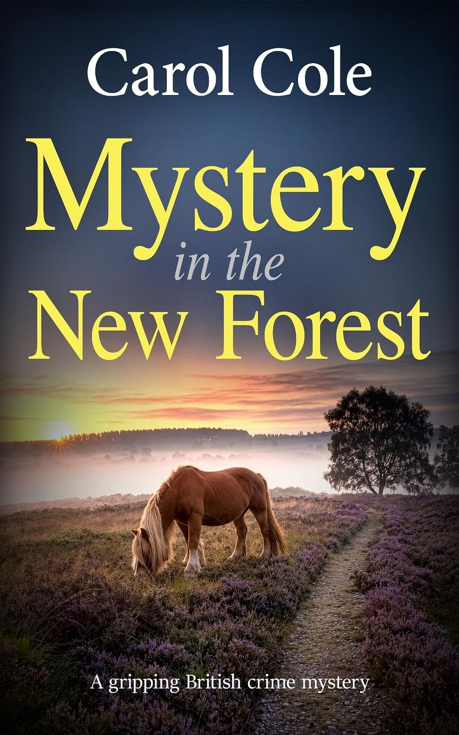 Book cover: Mystery in the New Forest.