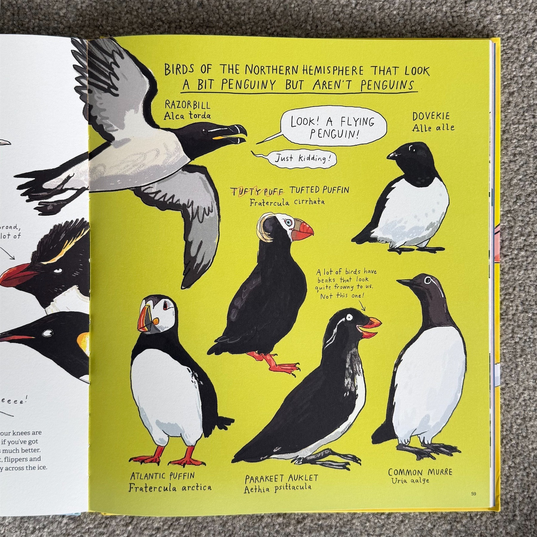 An internal page shows various birds that seem like penguins but are not. The style is humorous and cartoony, as is the text.