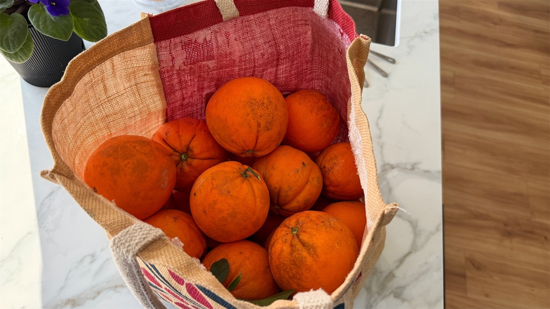A bag of oranges.