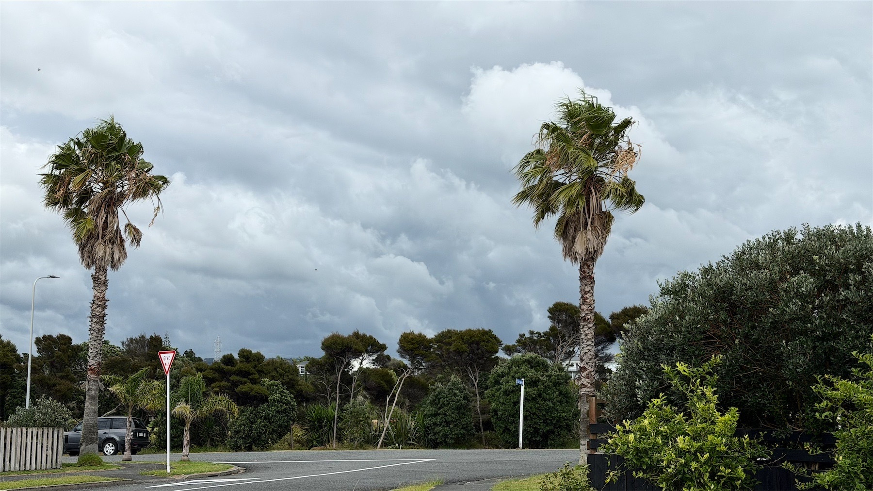 A tall palm stands at either side of the intersection of the side street and another road. There are bushes on the other side. 