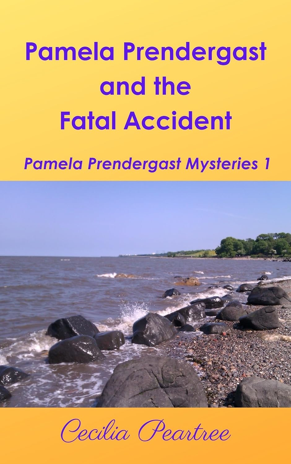 Book cover: Pamela Prendergast and the Fatal Accident.