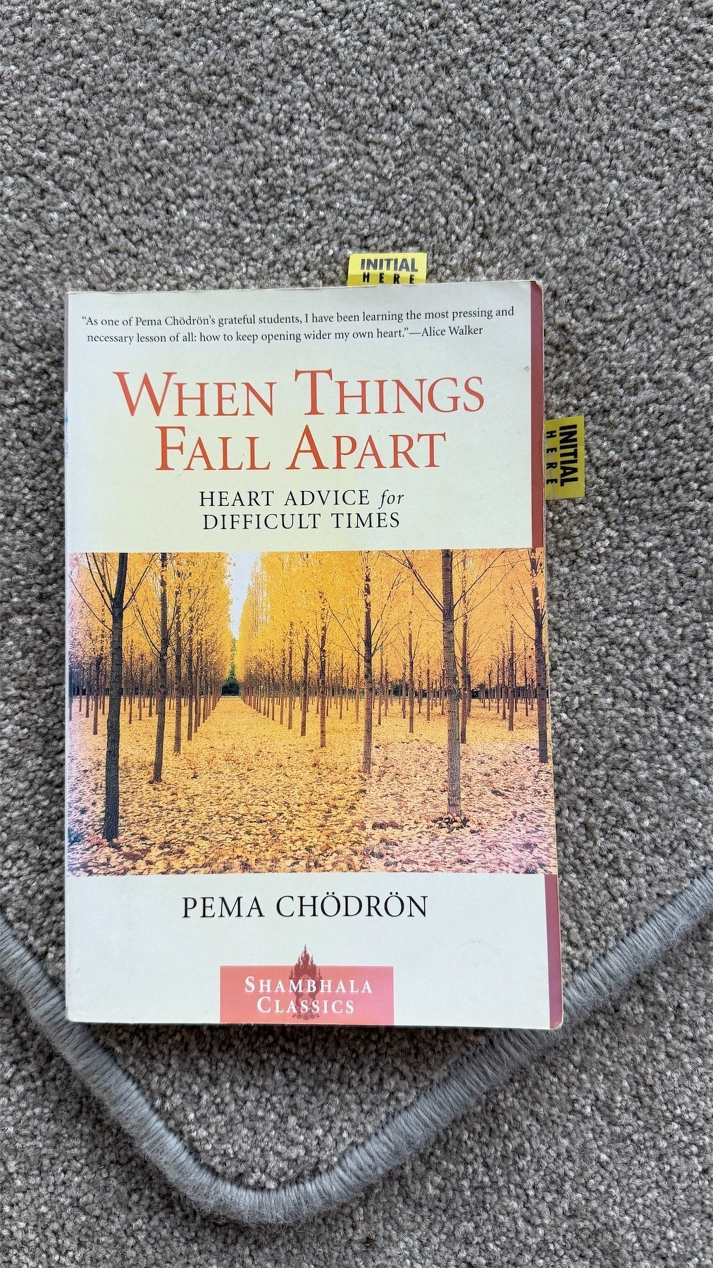 Pema Chodron paperback book When Things Fall Apart.