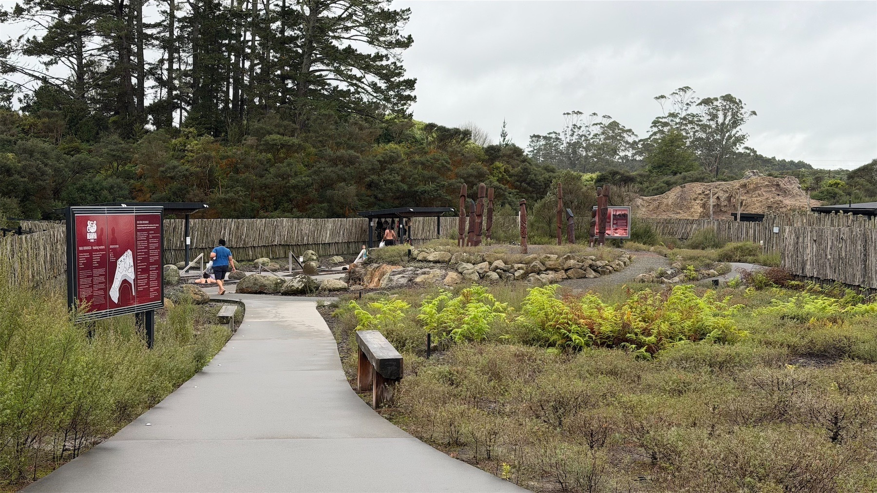 A wide view of the pool area wit native shrubs and concrete paths to the pools. 