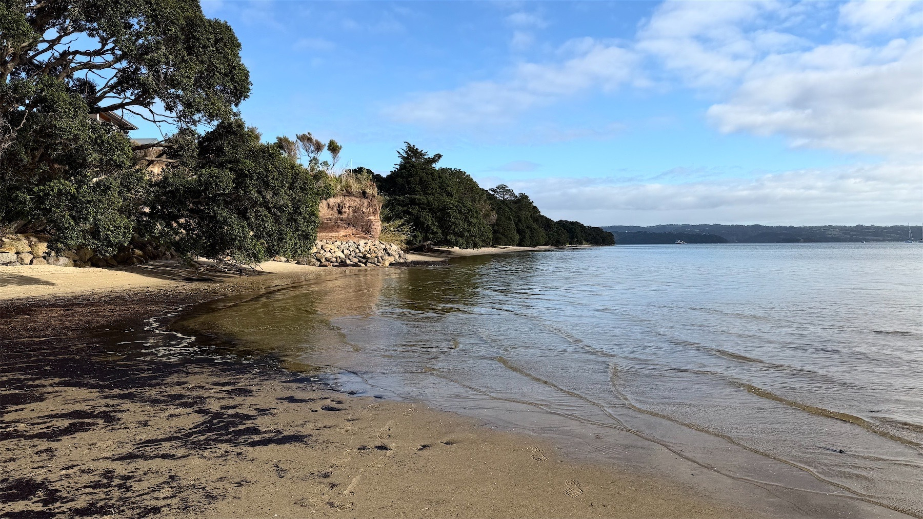 Curve of beach with pōhutukawas trees right down to the water.