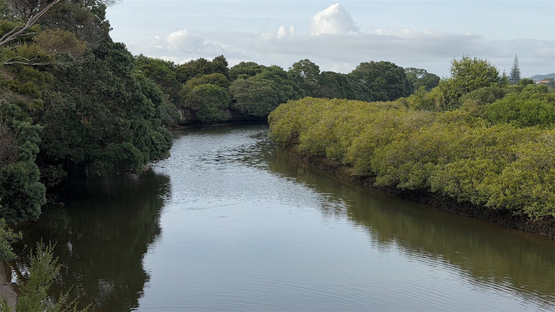 River with plenty of green bushes and trees along the banks. 