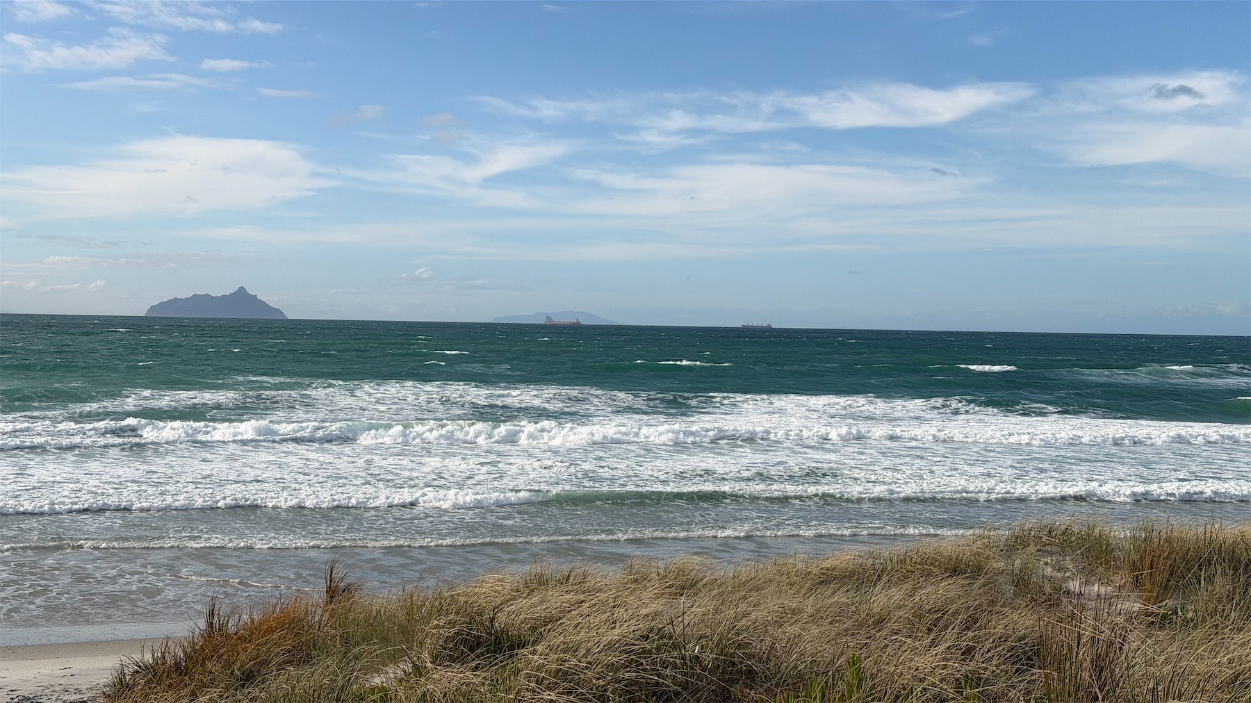 Beach scene with Taranga Island and two cargo ships in the background.