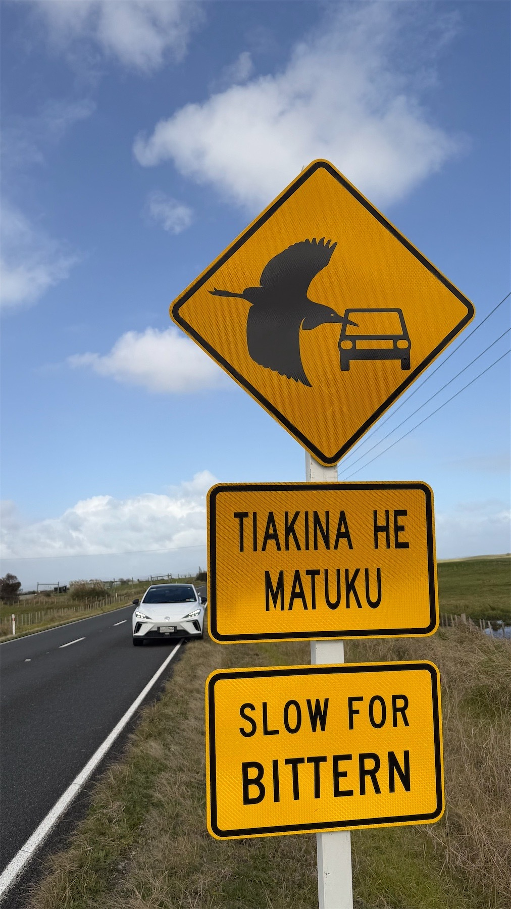 Road sign: Slow for bittern.