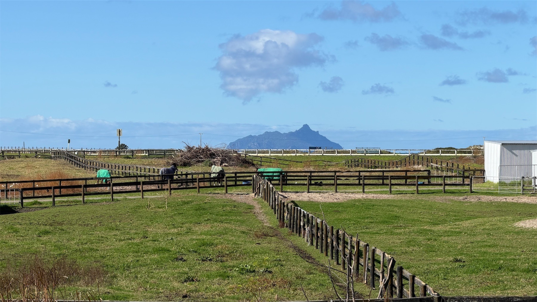 View across horse paddocks to a tall island. 