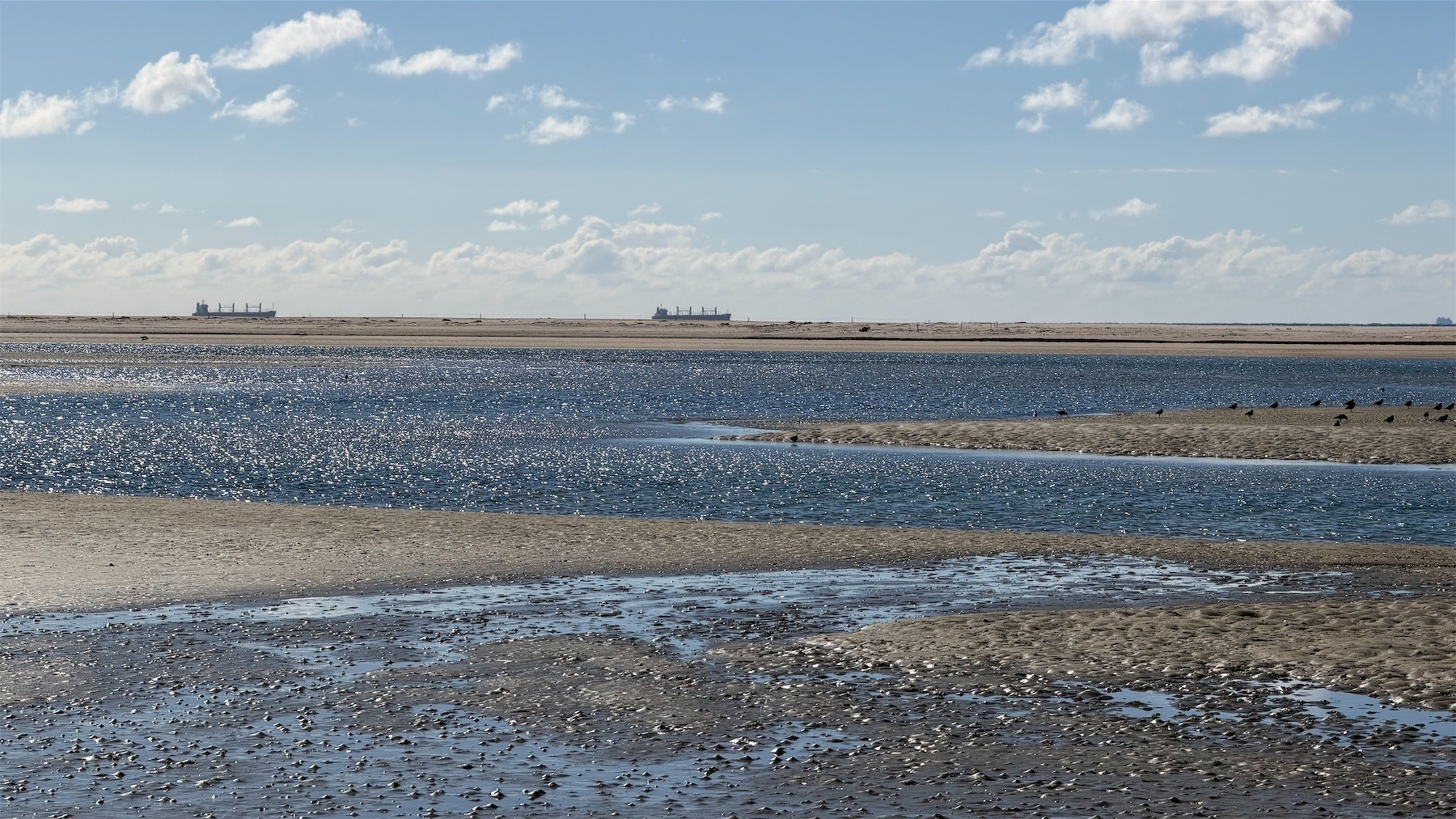 Looking across the estuary. On the horizon are two ships.