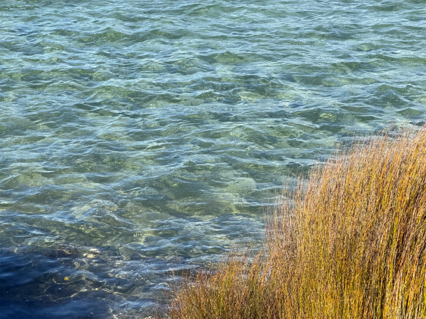 Clear but choppy water in the estuary.