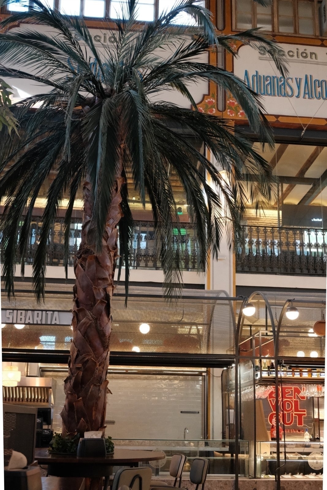 Auto-generated description: A tall indoor palm tree stands near a seating area inside a building with a balcony and various signs in the background.