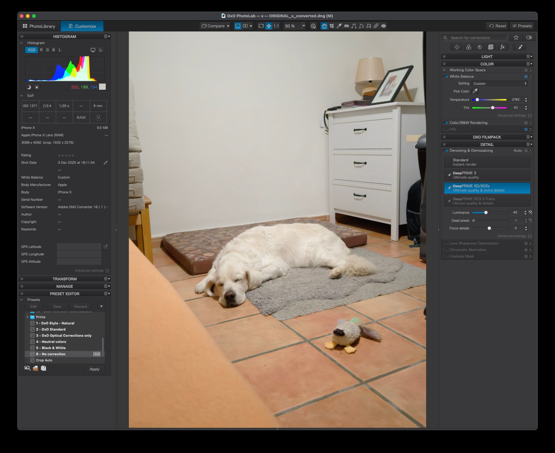 DxO Photolab showing a dng file of a dog sleeping