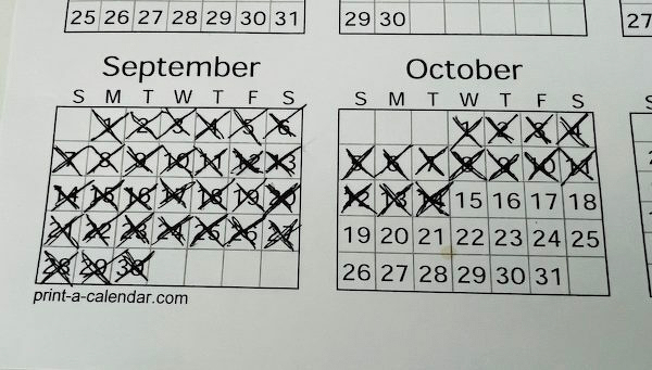 100 Days