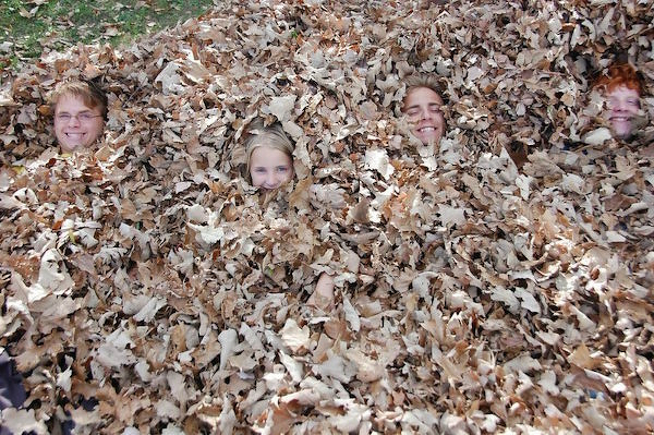 Leaf Pile photo