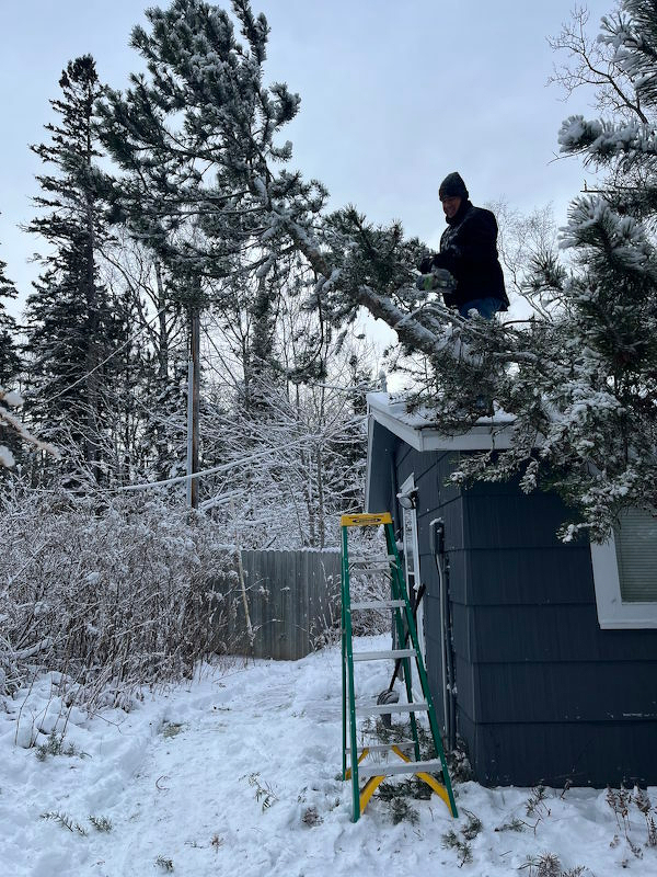 Chainsawing the downed tree
