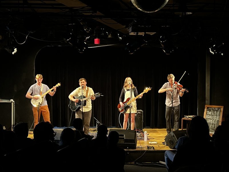 The Roadside Lupines at Homegrown 2026