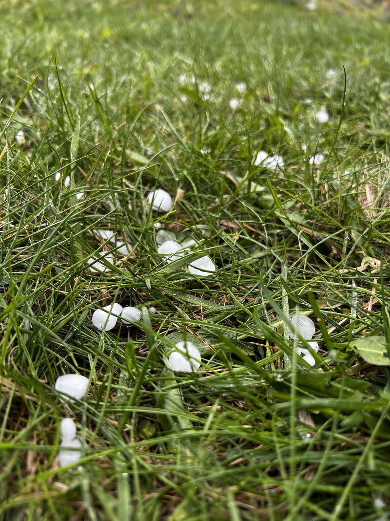 Hail from the deck gathering