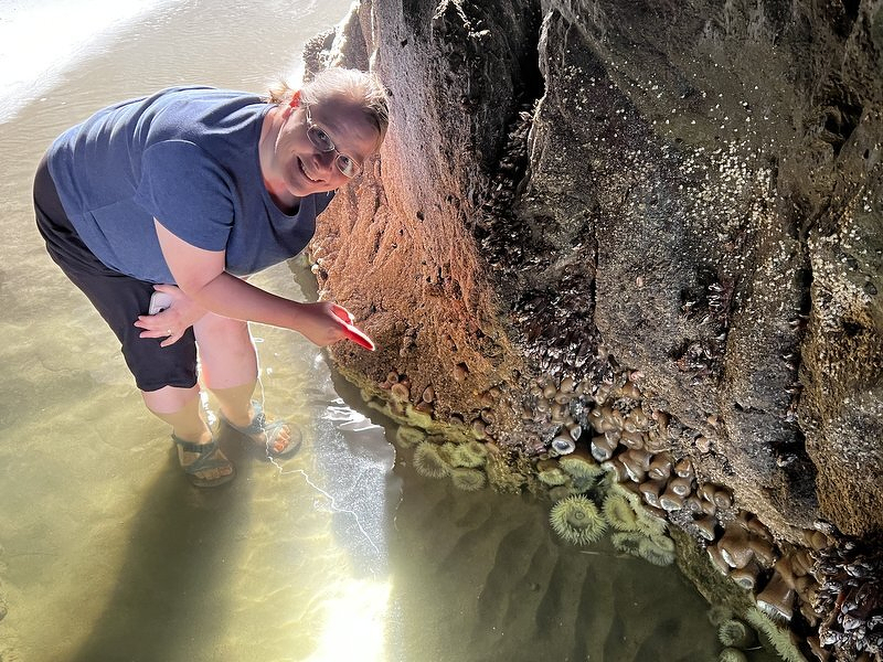 Jody pointing out the green anemones clustered in a tide pool