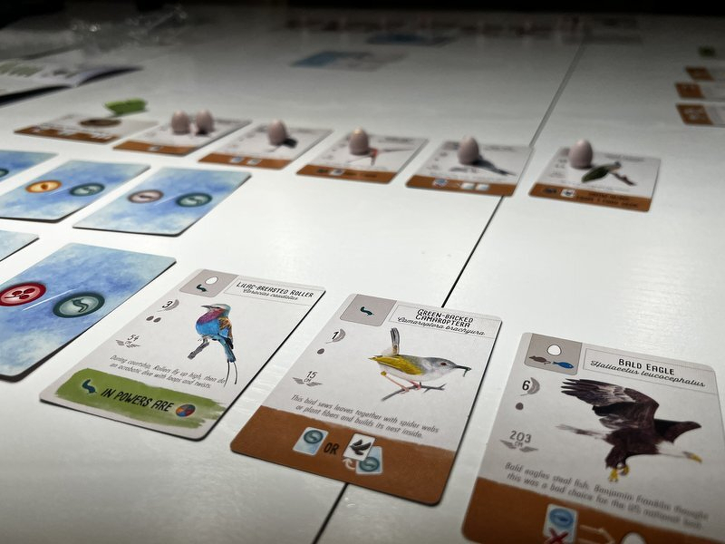 A row of Wingspan Pocket bird cards and egg tokens laid out on the table mid-game