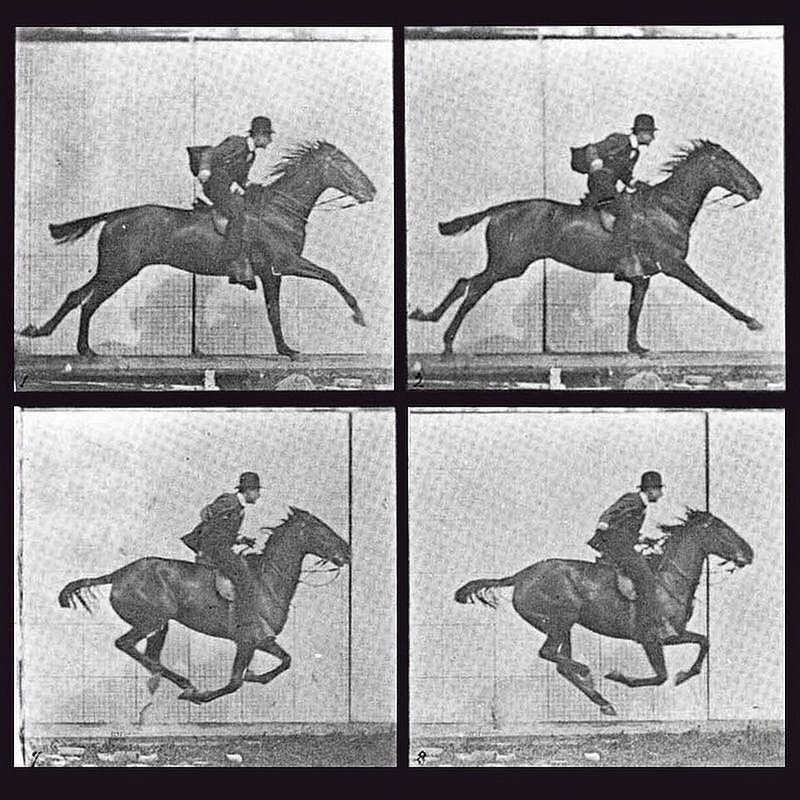Four frames from Eadweard Muybridge's galloping horse sequence
