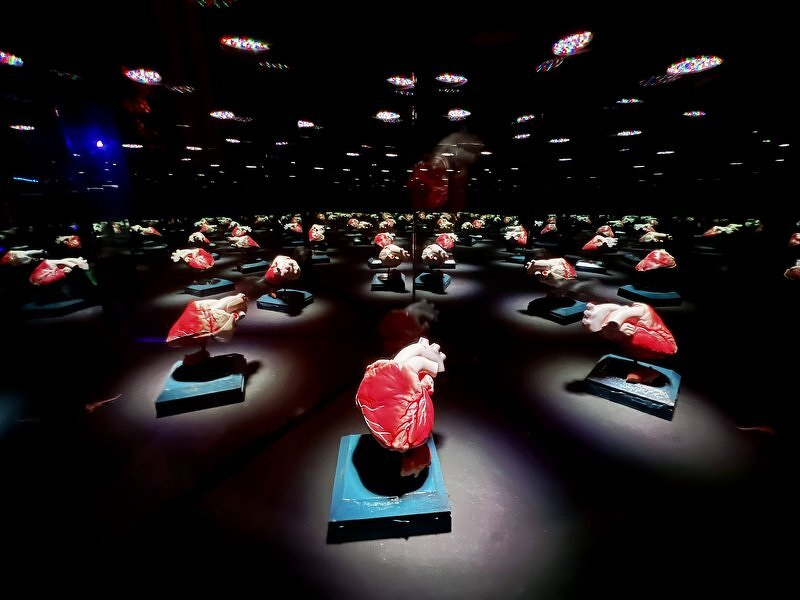 A dark room full of anatomical hearts on pedestals, each lit by its own spotlight