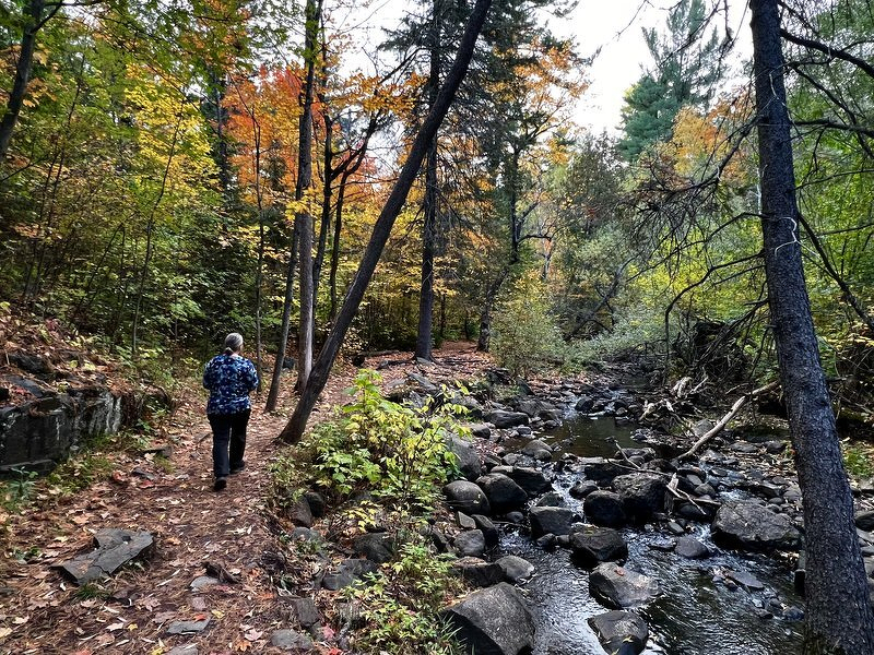 Jody walking a trail alongside a rocky creek bed, fall colors overhead