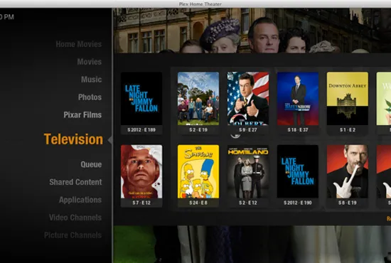 Old Plex Windows application showing a bar on one side with various media types and the content within that section on the right