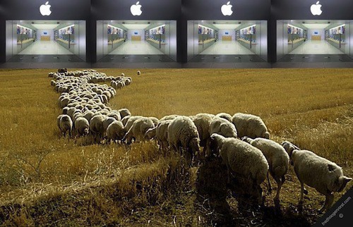 Sheep running towards a badly photoshopped Apple Store