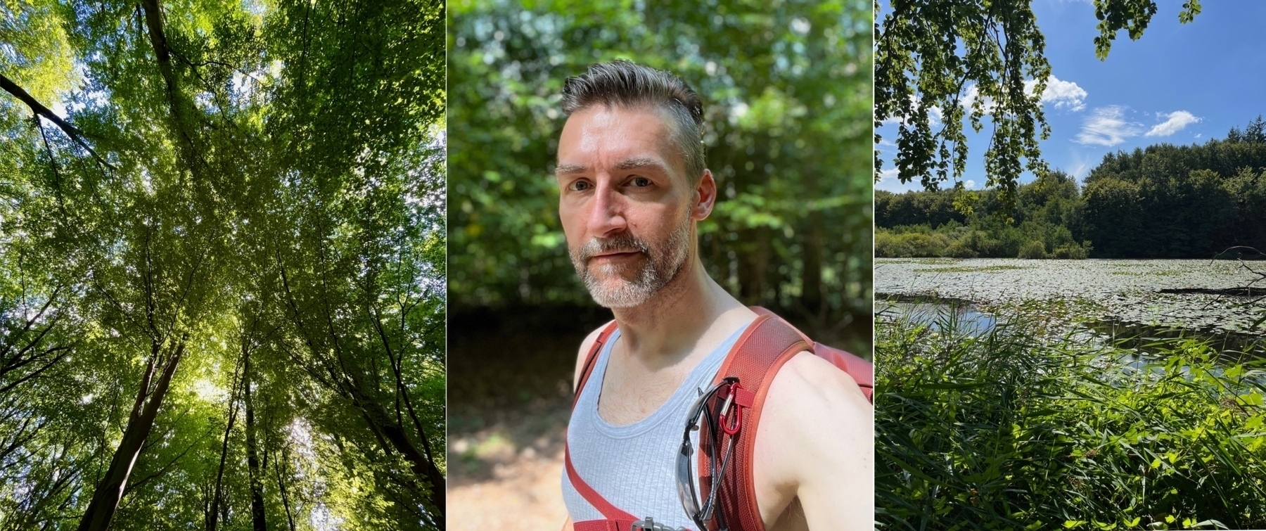 Kollage aus drei Fotos: Baumkronen von unten fotografiert; Carlo mit Rucksack; ein kleiner Waldsee mit Seerosen, umrandet von Laubbäumen