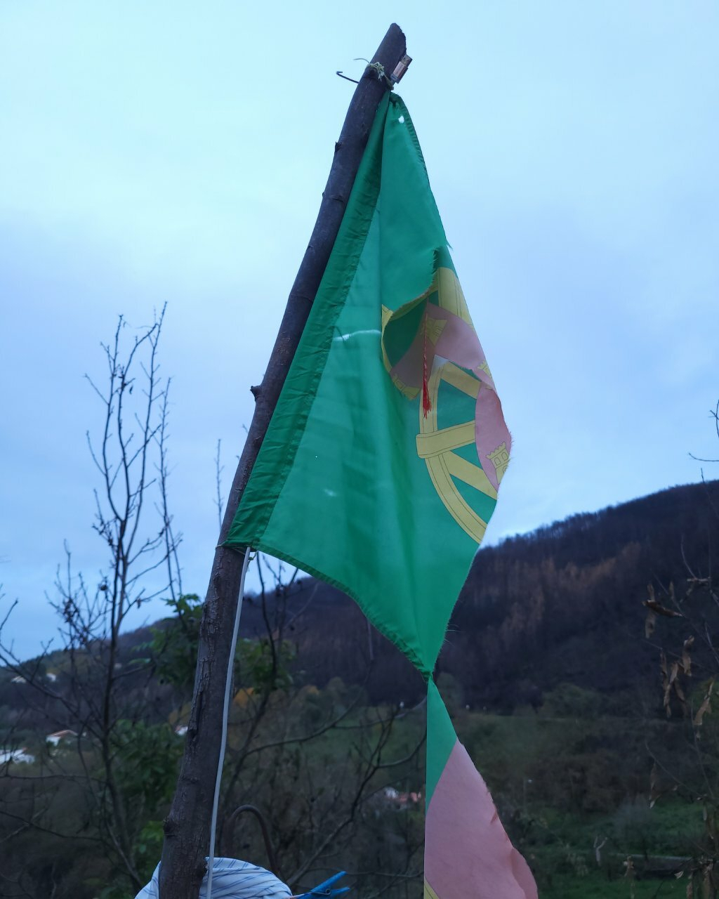 A tattered green flag with a partially visible circular emblem is attached to a wooden pole outdoors.