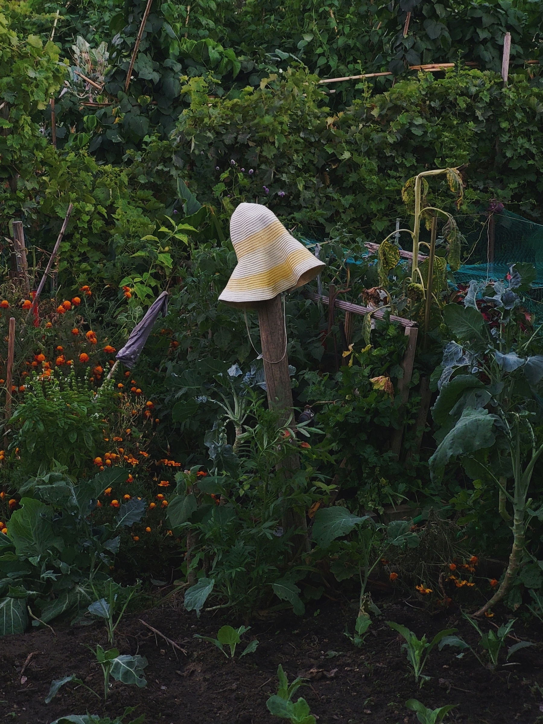 hat on a pole inside a garden 