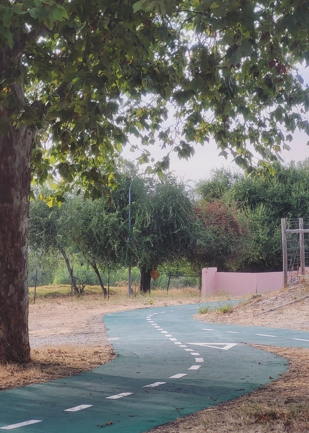 A winding paved path is lined with trees in a peaceful, natural setting.