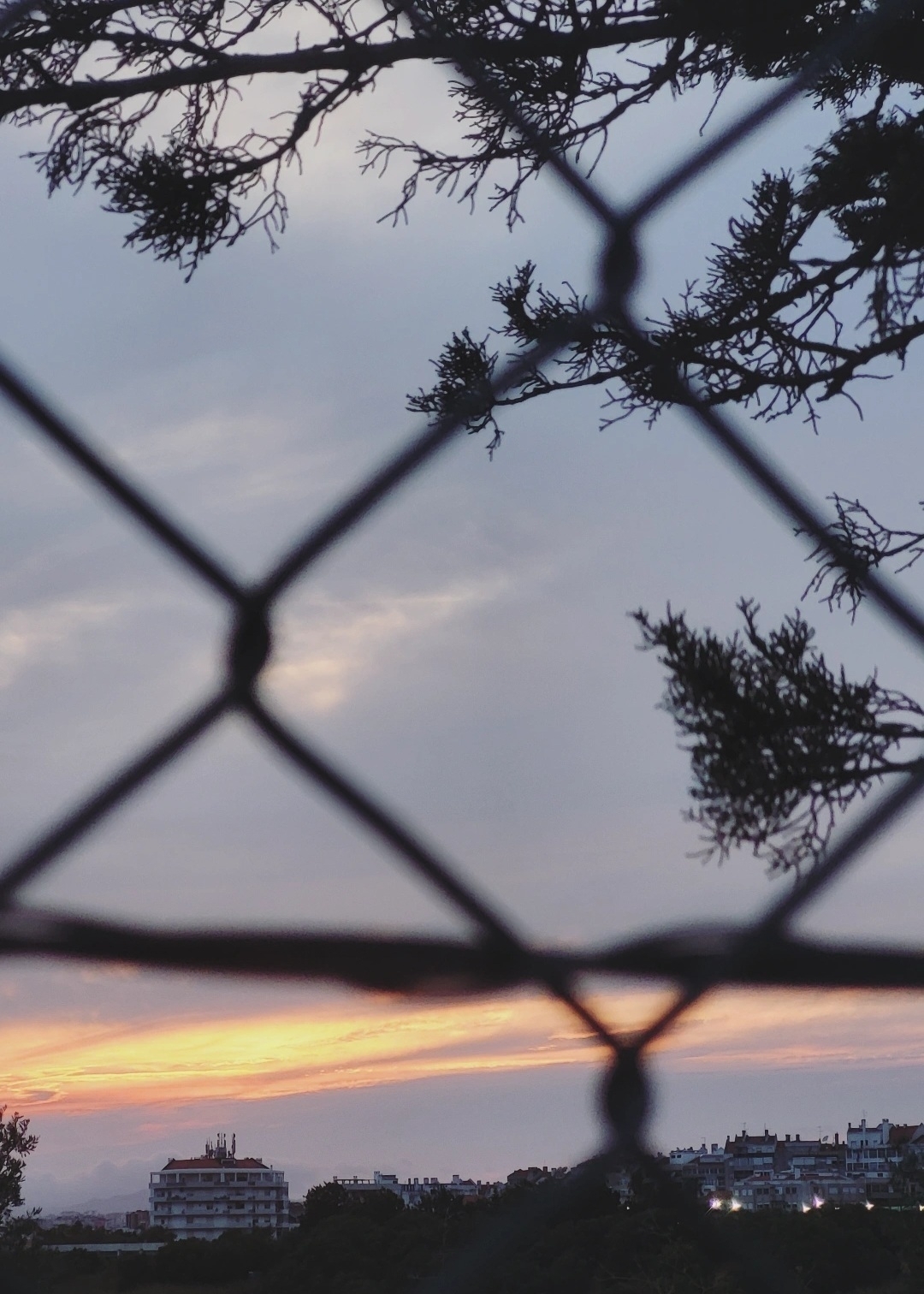 A sunset view is framed by a wire fence and silhouetted tree branches, with buildings in the distance.