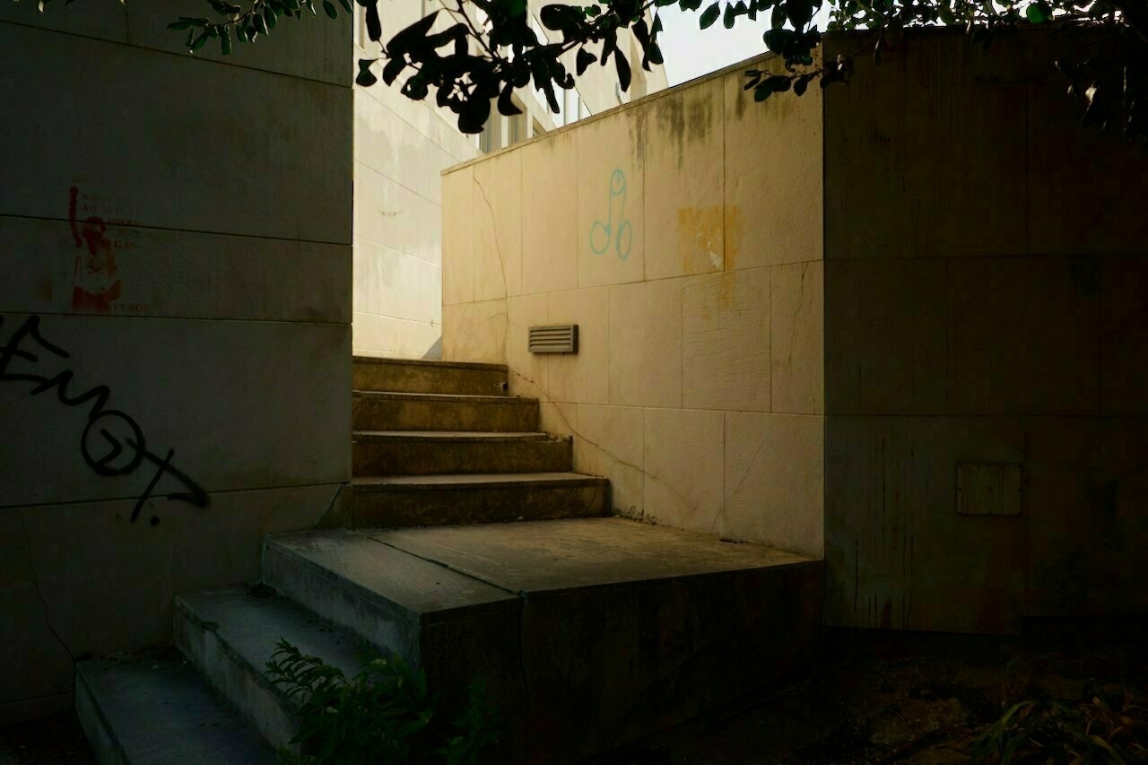 A concrete staircase leads up between high walls, partially shaded by overhanging leaves.