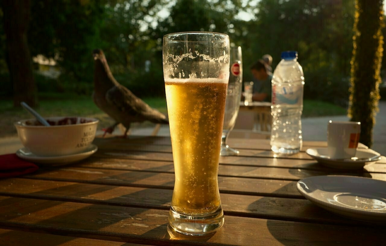 A glass of beer is on a wooden table outdoors, accompanied by a bowl, a water bottle, a coffee cup, and a pigeon nearby.