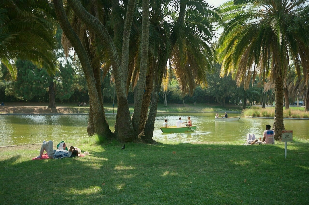 A serene park scene features people relaxing on the grass and others boating on a calm pond, surrounded by tall palm trees.