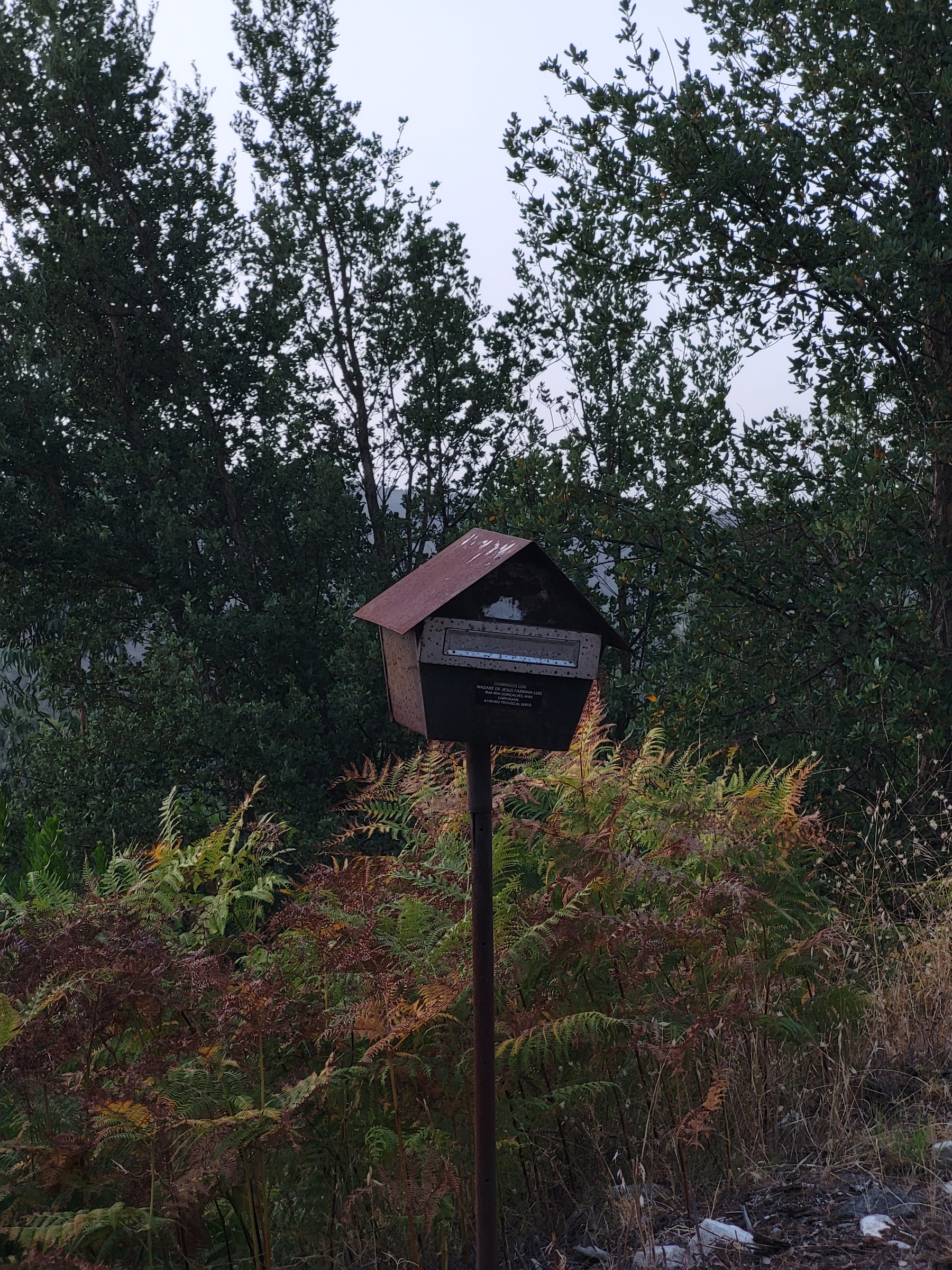 A weathered, small wooden box with a slanted roof is mounted on a tall metal pole amidst lush green and brown foliage near a wooded area.