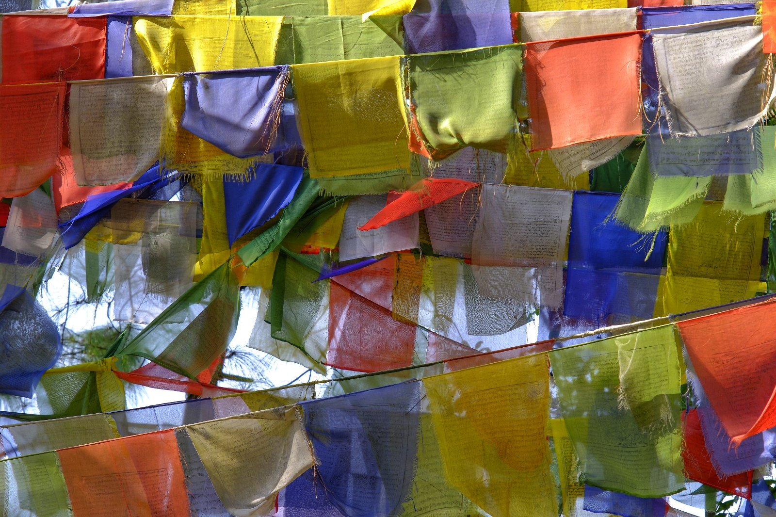Colorful prayer flags are fluttering in the wind against a clear sky.