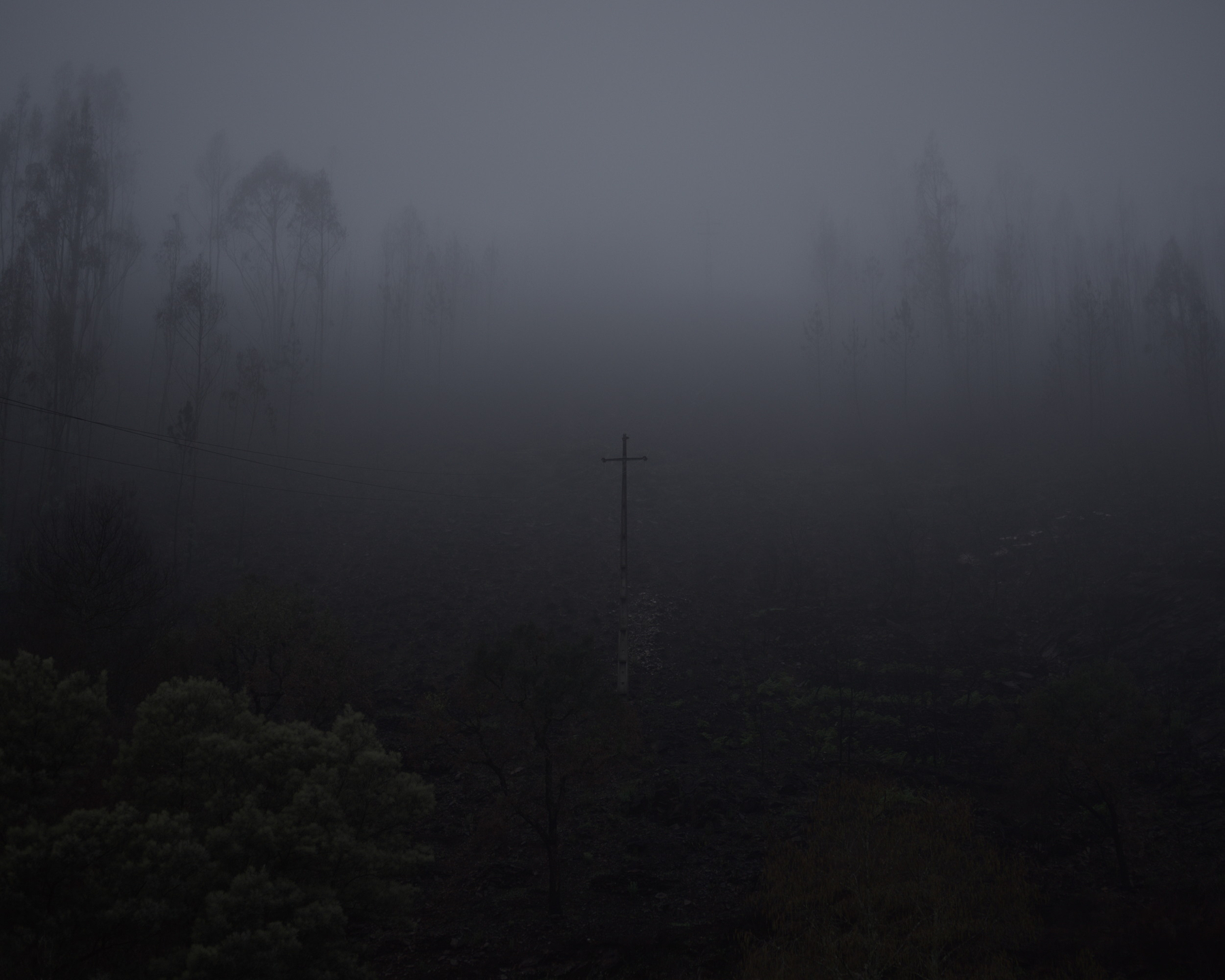 A lone cross stands amidst a foggy, wooded landscape, creating an eerie and mysterious atmosphere.