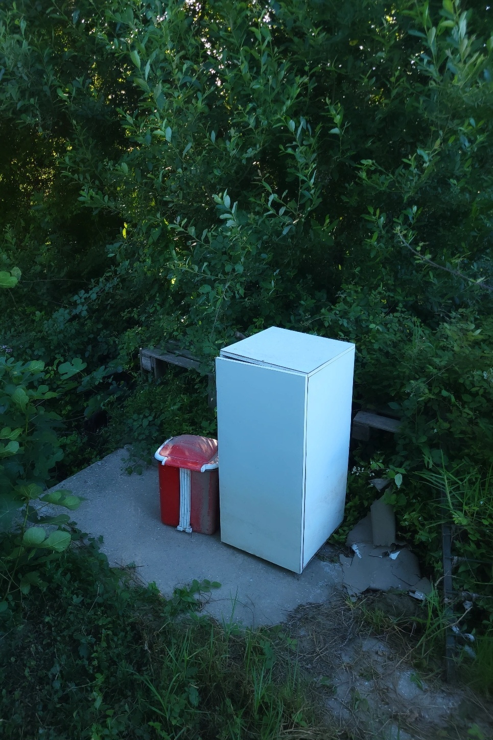 A white refrigerator stands outdoors on a concrete slab next to a red container, surrounded by dense greenery and foliage.