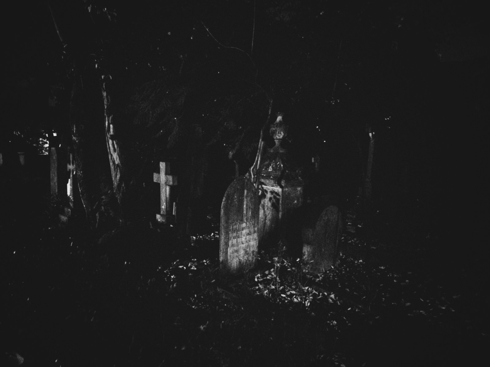 A dimly lit graveyard scene at night shows several tombstones and a cross surrounded by trees and fallen leaves.