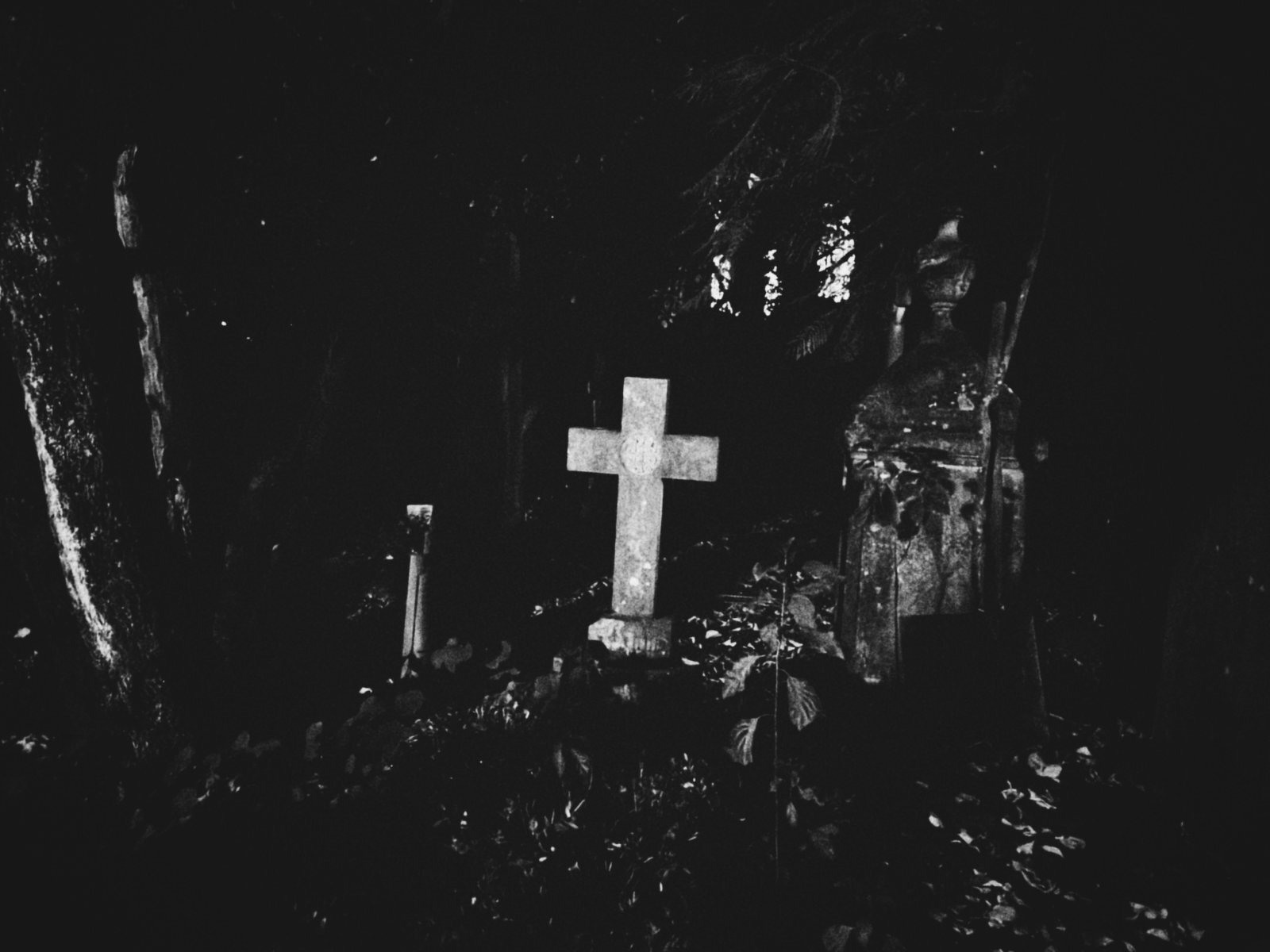 A solitary cross-shaped gravestone stands amidst a dark and eerie forest setting.