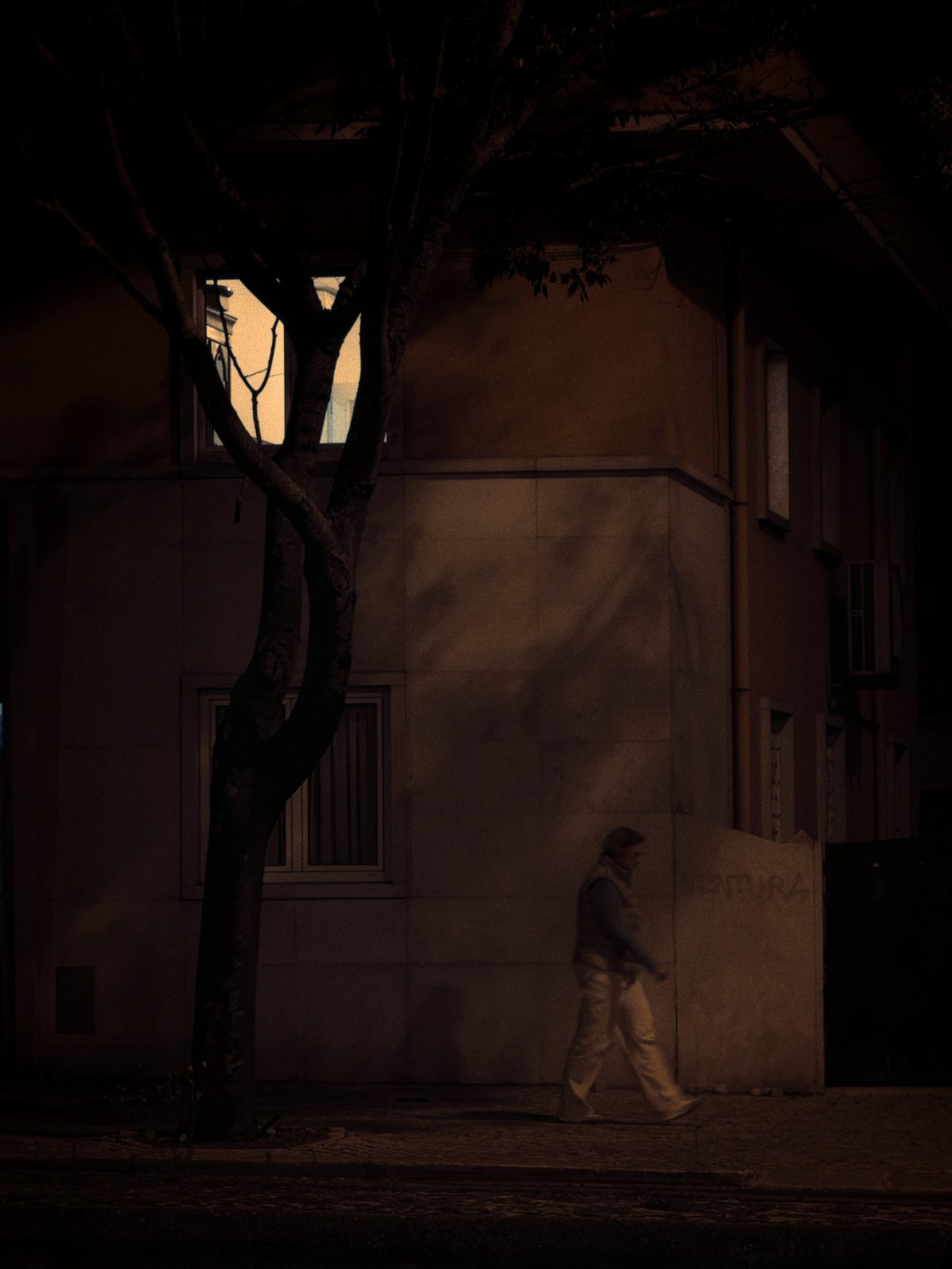 A person is walking along a dimly lit street next to a building with a tree casting shadows on the wall at night.