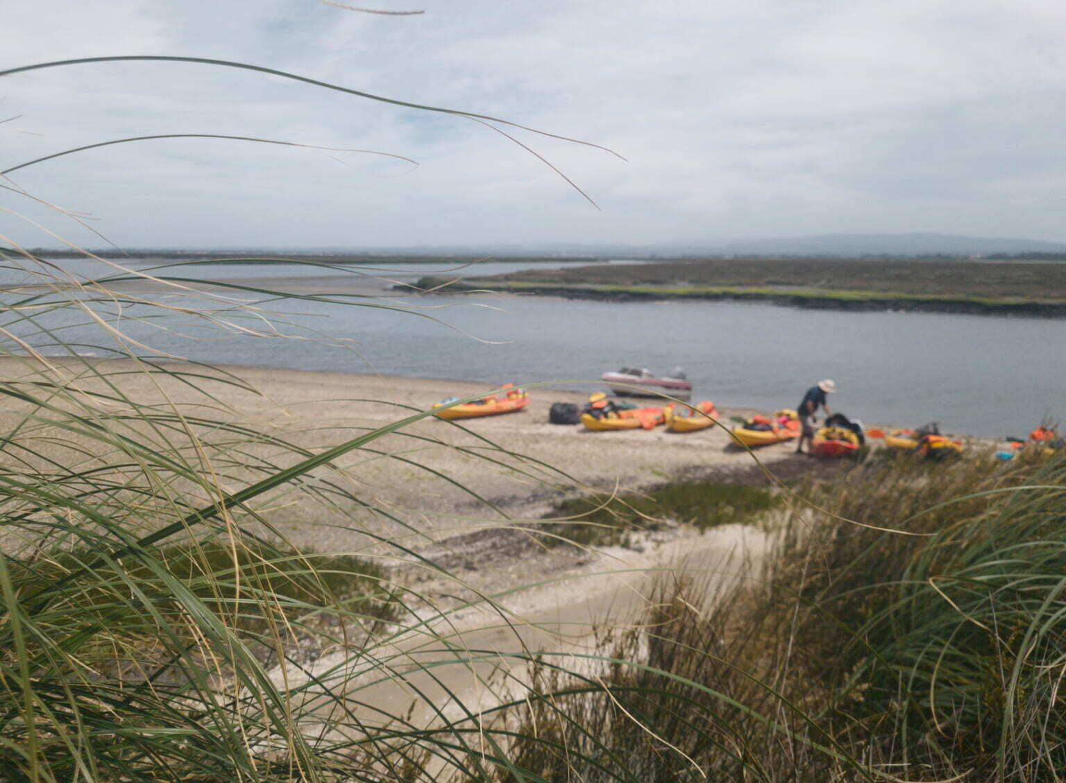 A person is preparing colorful kayaks by a calm riverbank under a cloudy sky, with tall grass in the foreground.